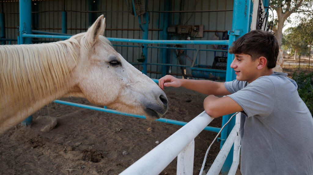 צילום: זיו קורן