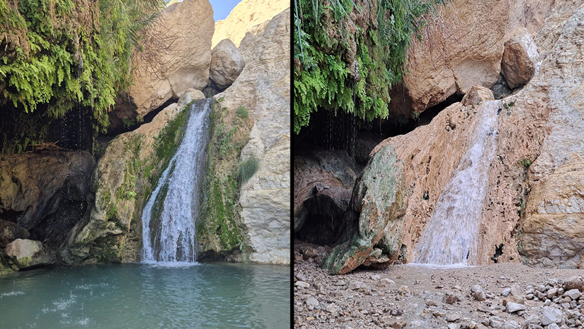 בריכת דודים - אז - ועכשיו