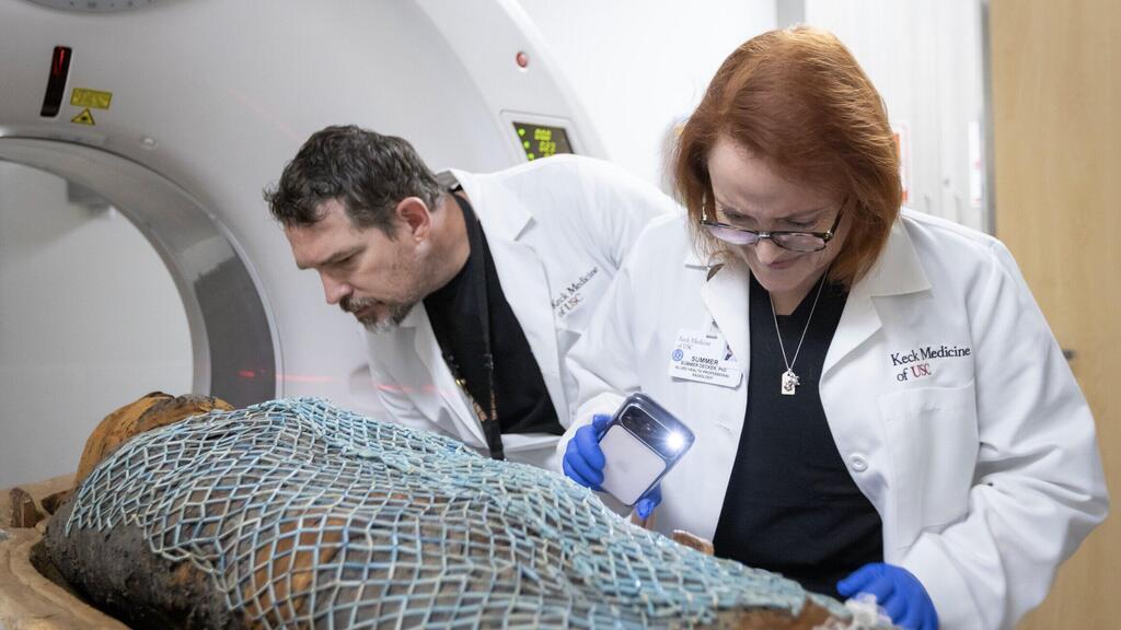 ד"ר סאמר דקר (מימין) וד"ר ג'ונתן פורד, בוחנים את המומיות של כוהני הדת המצריים