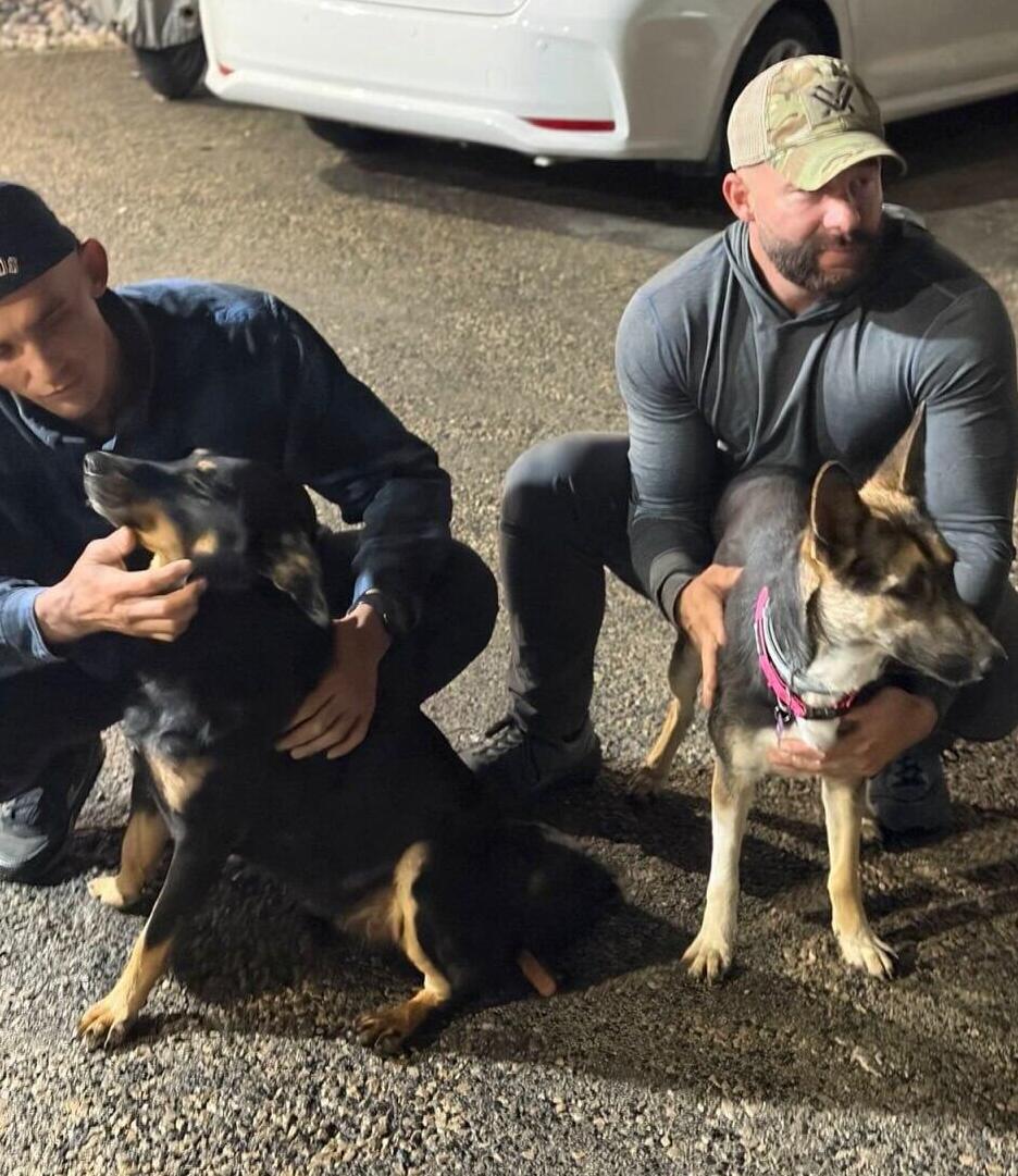  Заботились о питомцах даже во время службы