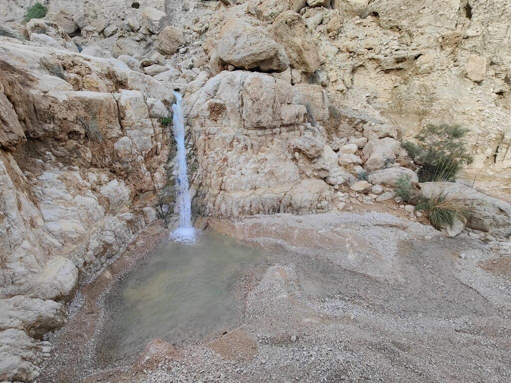 הבריכה הראשונה בנחל דוד