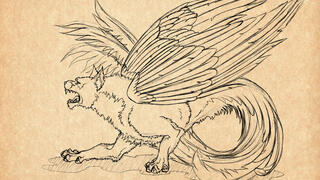 הדמות המיתולוגית סימורג