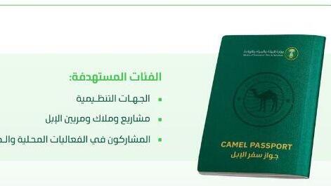 הדרכון לגמלים