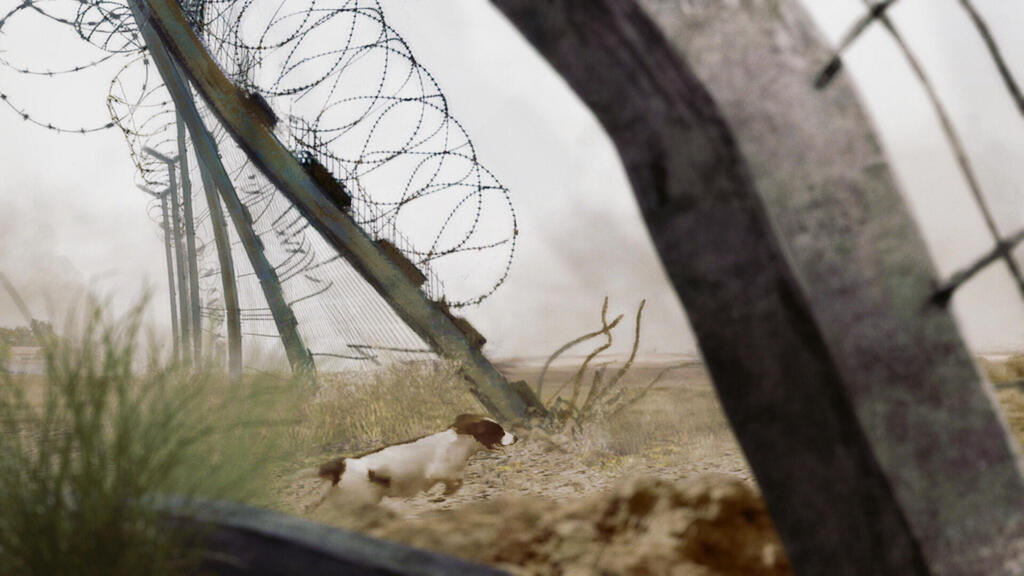 Сцена из фильма "О собаках и людях" 