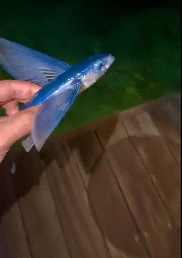 קרייג דיוויד אינסטגרם