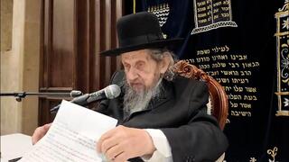 דברי הרב דוב לנדו