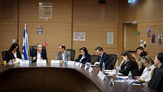 הדיון בוועדת העלייה והקליטה