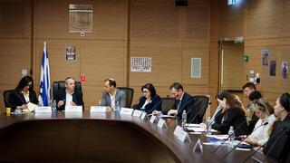 הדיון בוועדת העלייה והקליטה