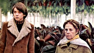 מתוך "הרולד ומוד"