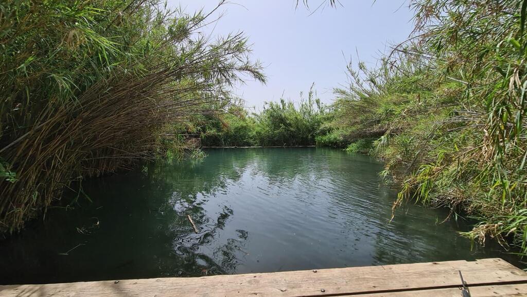 הספוט הסודי בגולן