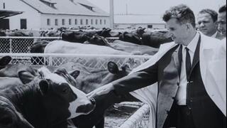 נשיא רומניה לשעבר, ניקולאה צ'אושסקו, וחברים