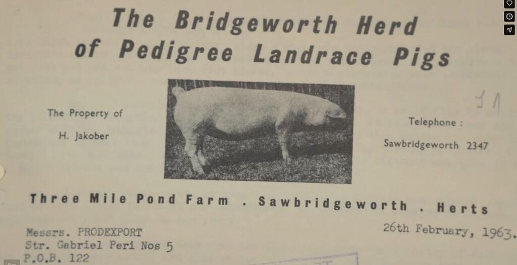 On of the documents in the archive אחד המסמכים בארכיון