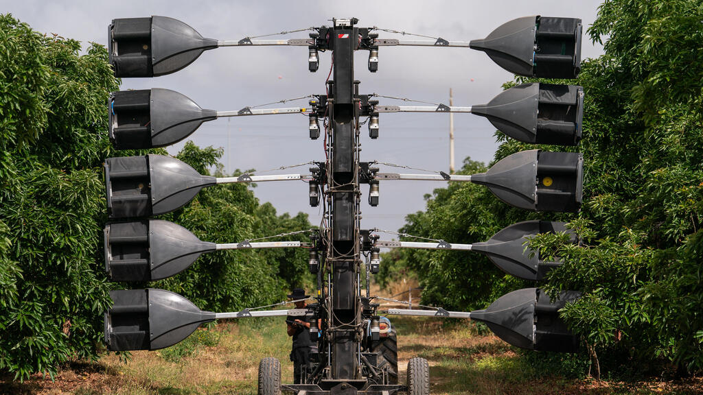 Pollination tech (Photo: BloomX) Avocado