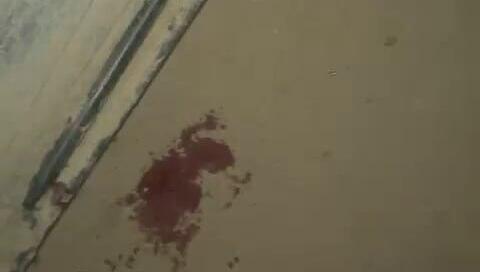 10 נרצחו בשבוע: צעיר נמצא ירוי בצפון, בן 20 נורה בנגב