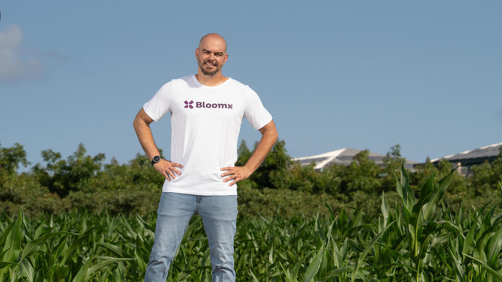 Thai Sade (Photo: BloomX) Avocado