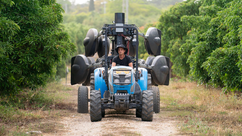 Photo: BloomX Avocado