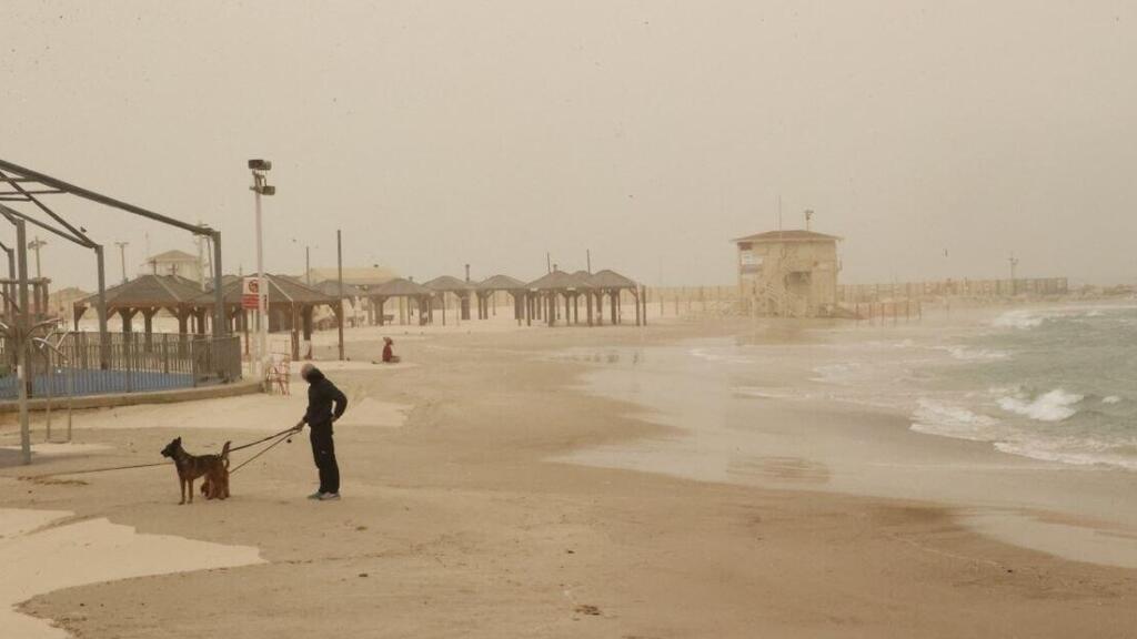 אובך בחוף הים מציצים