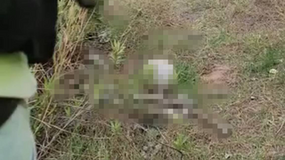 ליד העצמות שאותרו - דרכון של נעדרת זה שנתיים