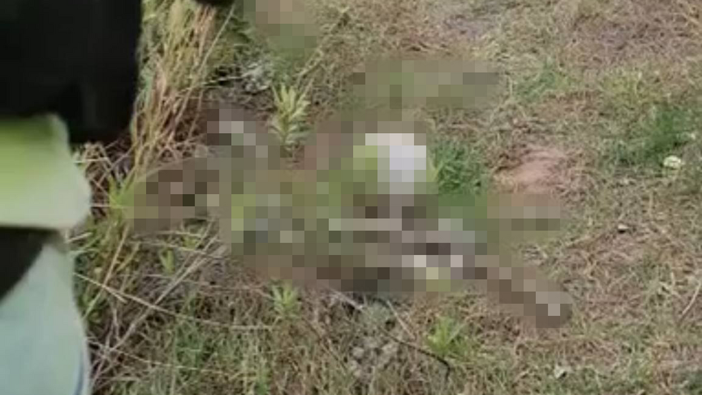 Human skeletal remains found in a wooded area adjacent to the Pisgat Ze’ev neighborhood in northern Jerusalem שרידי עצמות שנמצאו בפסגת זאב