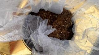 סוכל ניסיון הברחת מאות קילוגרמים של טבק לרצועת עזה במסווה של קופסאות שימורי מזון