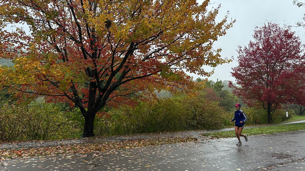 שלכת בבוסטון, מסצ'וסטס