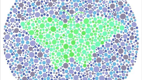 עיוורון צבעים