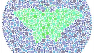 עיוורון צבעים