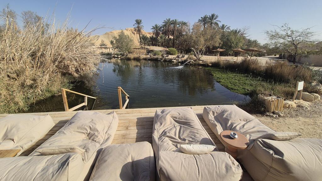 A hammock by the pond (Photo: Assaf Kamar) זולה מול האגמון