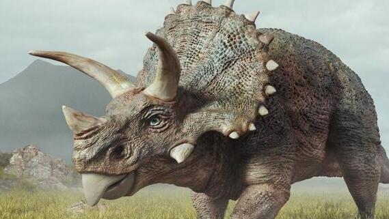 שיירת טריצרטופסים