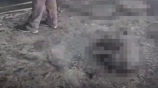 75 ראשי צאן מתו בשריפה  בעיירה א־סמוע באזור חברון