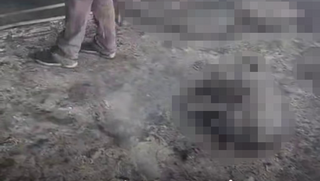 הפלסטינים: פורעים יהודים שרפו 75 כבשים ליד חברון