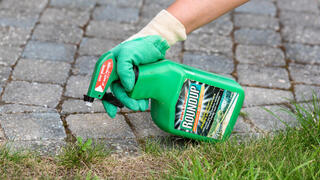 קוטל עשבים ראונדאפ (Roundup) מתוצרת באייר