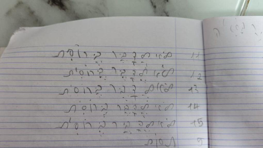 Тетрадь третьеклассника из Хайфы 