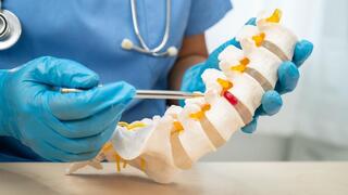 עמוד שדרה, חוט שדרה