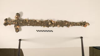 החרב הצלבנית שהתגלתה על קרקעית הים בחוף דור