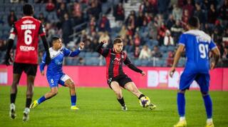 תמיר חיימוביץ'