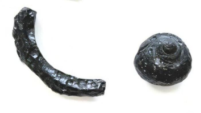 הטקטיטים בעלי הצורות המגוונות שאותרו במדינת מינאס ז'ראיס בברזיל