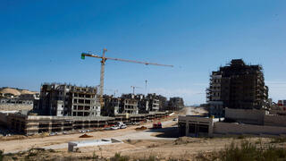 צילום: גיל נחושתן