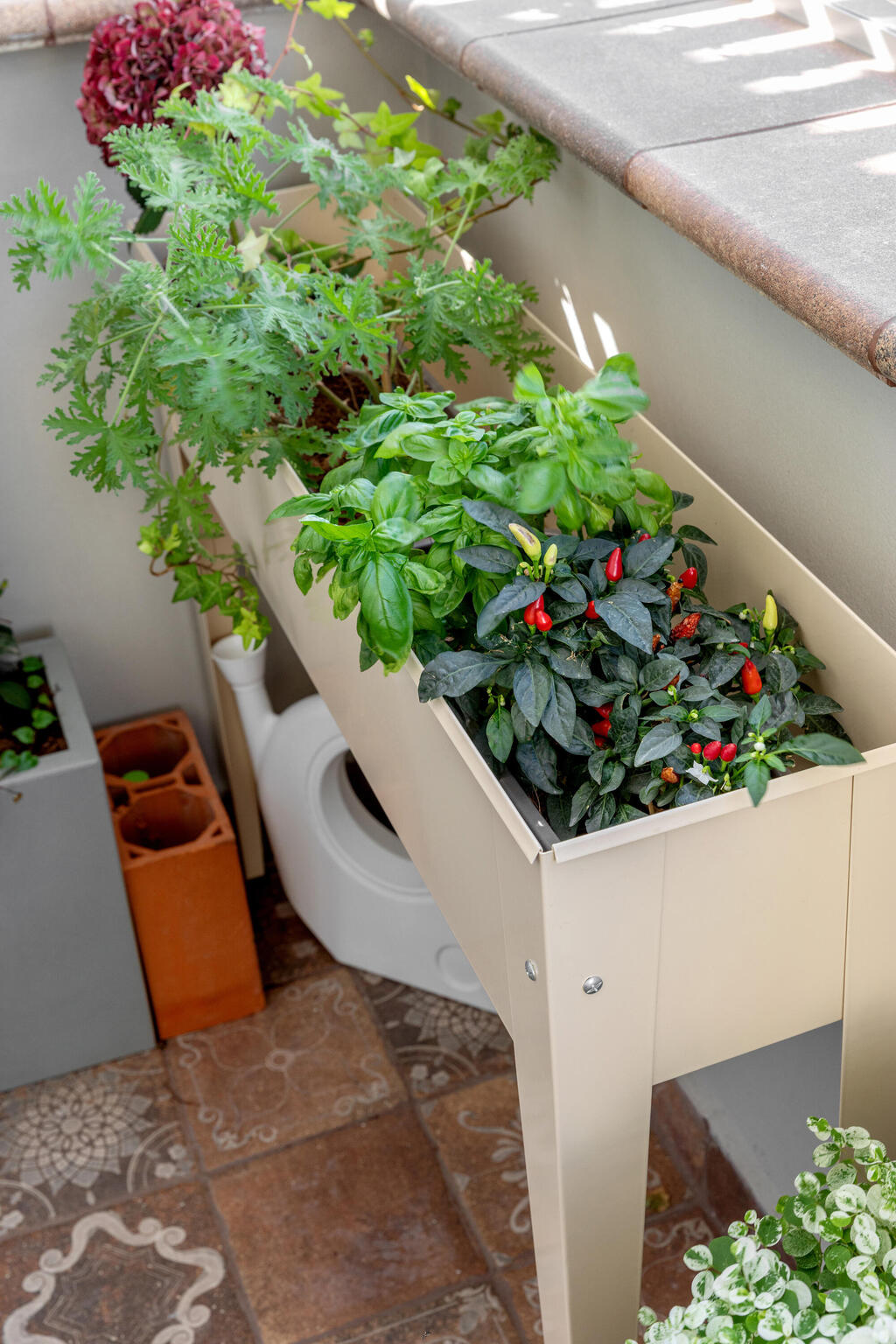 The planters on the balcony (Photo: Shiran Carmel) שיפוץ דירה בתל אביב, עיצוב: יוליה חנדז'י