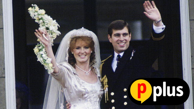 שרה פרגוסון