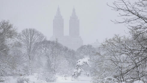 סנטרל פארק מושלג