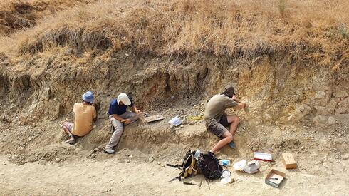 החפירות הארכאולוגיות באתר עובדייה