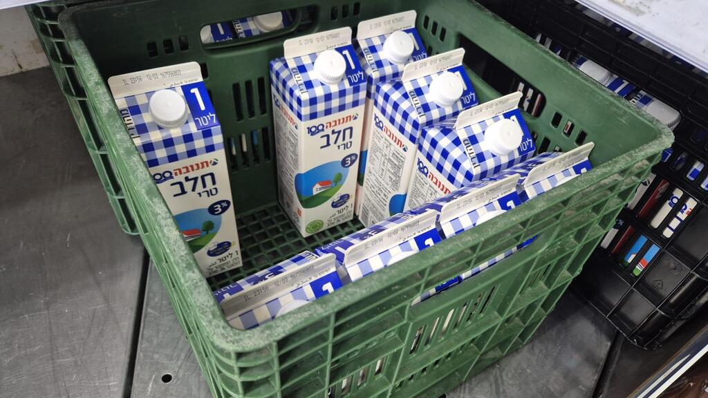 Молоко "Тнува" (Фото: Мейрав Кристал) חלב מוצרי חלב תנובה