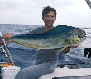 דניאל פינסקי 