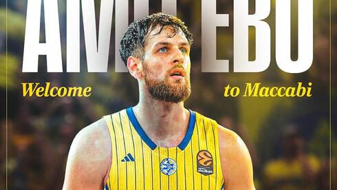 עמית עבו מכבי ת"א