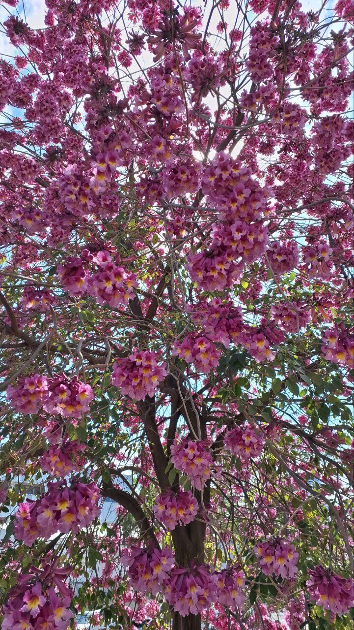 Такую красоту невозможно не заметить (Фото: Анастасия Тадсон) Такую красоту невозможно не заметить