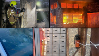 הפרוטקשן בגליל העליון