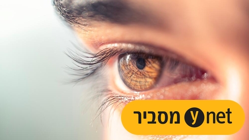 העין האנושית