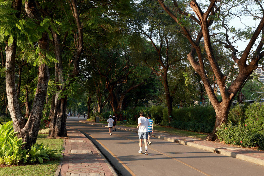 ג'וגינג בלומפיני פארק