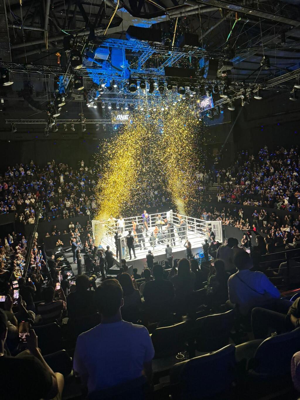 קרב אגרוף תאילנדי